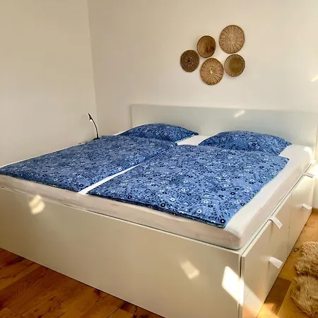 Sunny Ap22 * ボヴェツ